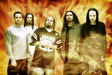 Korn Computer Wallpapers, Desktop Backgrounds