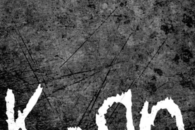 iPhone 4S, 4 Korn Wallpapers HD, Desktop Backgrounds 640x960