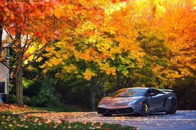 Full HD 1080p Lamborghini Wallpapers HD, Desktop Backgrounds 1920x1080