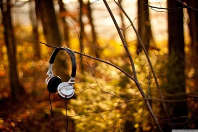 Sony Headphones HD Desktop Wallpapers : High Definition ...