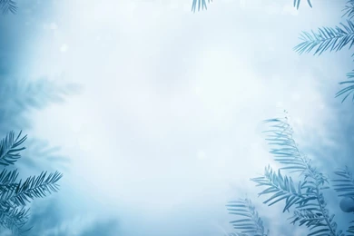 Winter Backgrounds With Frozen Trees Wallpapers