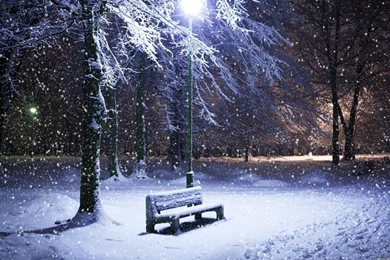 Winter Park Bench Windows 8 Wallpapers