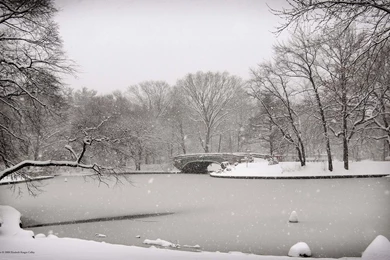 Winter Backgrounds Wallpapers   1363631