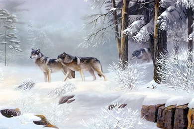 3065) Winter Wolf Backgrounds Wallpapers   WalOps.com