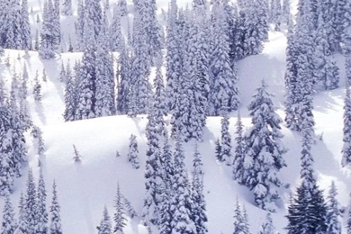 Winter Wallpapers For iPhone 4 01