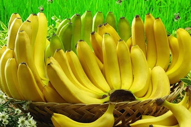 Full HD 1080p Banana Wallpapers HD, Desktop Backgrounds 1920x1080