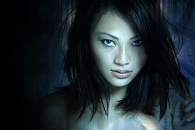 Asian Wallpapers 2015   Grasscloth Wallpapers