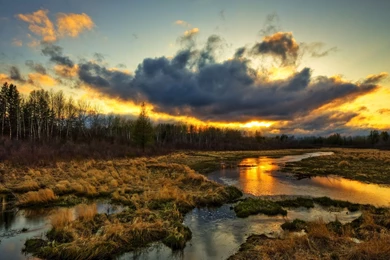 25 Free Nature HD Backgrounds