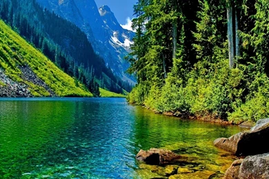 Backgrounds HD Nature Wallpapers