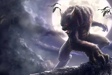 Werewolf Animated Wallpapers Http://www.desktopanimated.com/   YouTube