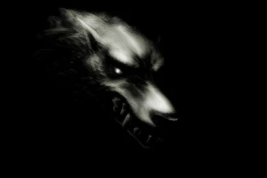 Werewolf Wallpapers