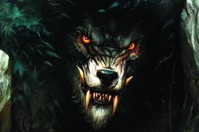Werewolf Wallpapers   Digital Art Wallpapers
