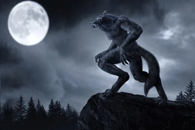 151 Werewolf HD Wallpapers
