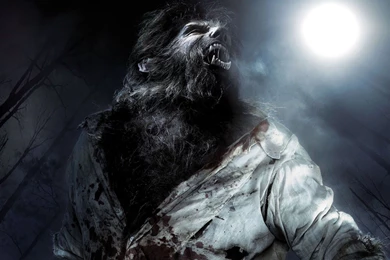 THE WOLFMAN Dark Werewolf Wallpapers