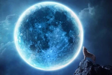 Full Moon Werewolf Wallpaper.