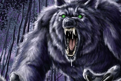 151 Werewolf HD Wallpapers