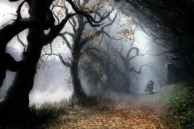 Werewolf 1920x1080 Wallpapers, 1920x1080 Wallpapers & Pictures ...