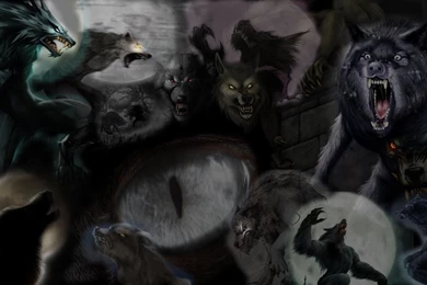 Werewolf Wallpaper Gift  By Xbox DS Gameboy On DeviantArt