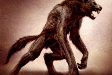 Werewolf Wallpapers And Images   Wallpapers, Pictures, Photos