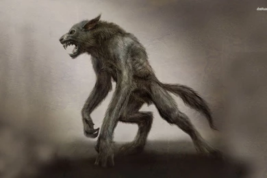 Werewolf Wallpapers   Fantasy Wallpapers