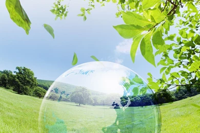 Firefox Transparent Wallpapers   164083