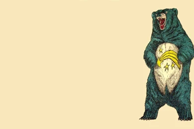 412 Bear HD Wallpapers