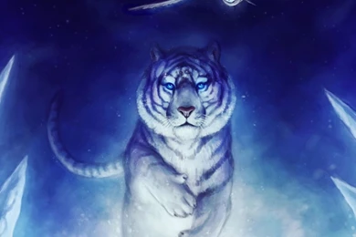 White Tiger Owl Art iPad Wallpapers Download