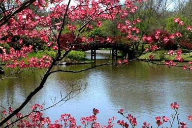 Free Download Free Spring Wallpapers Crafthubs Free Spring ...