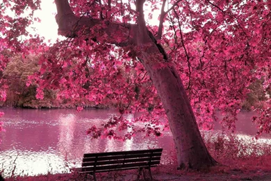 Spring Season Latest HD Wallpapers Free Download