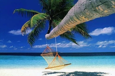 117208d1343381036 ocean ocean desktop wallpaper 700 x 525.jpg