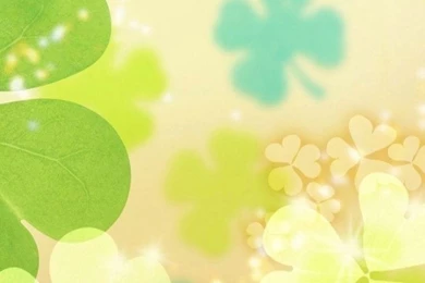 1080x1920 Cool Bright Leaf Wallpapers HD