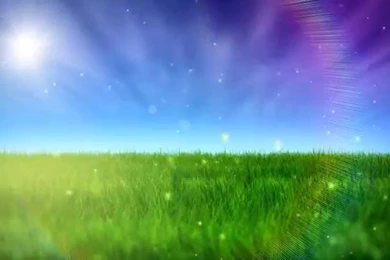 Free Nature Video BackGround   HD   YouTube