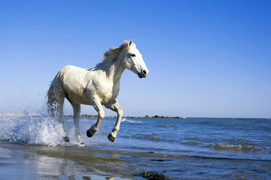 35+ Cool Desktop Wallpapers