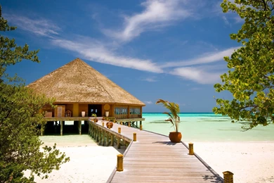 Download Summer Wallpapers HD 684 1920x1200 Px High Resolution ...