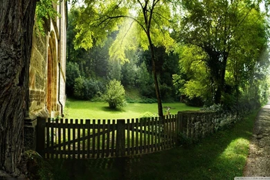 Beautiful Pathway, Summer HD Desktop Wallpapers : Widescreen : High ...