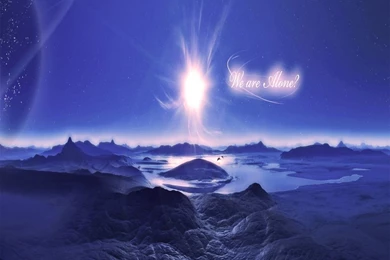 Dolphins ♥ ~   Dolphins Wallpapers (10346639)   Fanpop