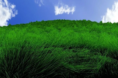 Top Grass Desktop Wallpaper Images For Pinterest