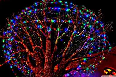 Computers Hd Wallpapers   5 Items