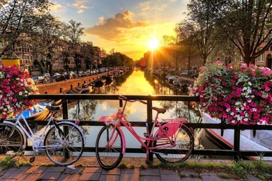 Vibrant Amsterdam – Netherlands