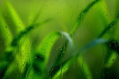 Download Wallpapers 1920x1080 Glass, Grass, Drops, Macro, Texture ...