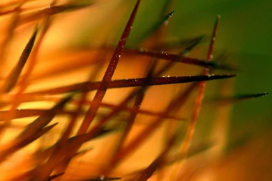 Texture Wallpapers Hd Wallpapers   Free Texture Wallpapers Hd ...