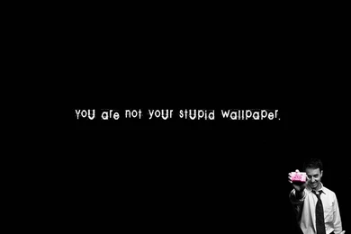 Funny Stupid Wallpapers Quotes