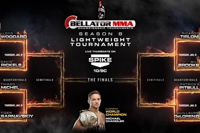 Leg Kick TKO: January 2013