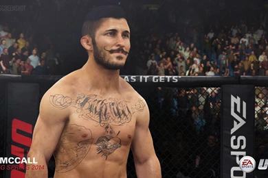 Review: EA Sports UFC