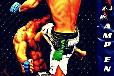 Search Anthony Pettis Images