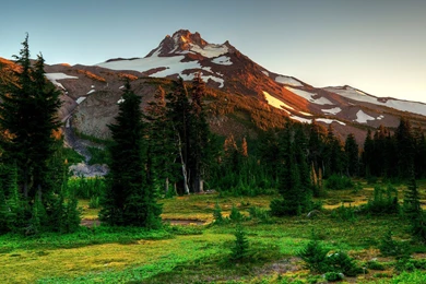 Download Wallpapers 3840x2160 Mountains, Trees, Eating, Nature ...