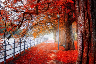 Autmn Landscape 4K Ultra HD Wallpapers