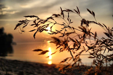 Nature Lake Sunset Landscape Ultrahd 4k Wallpapers Wallpapers ...