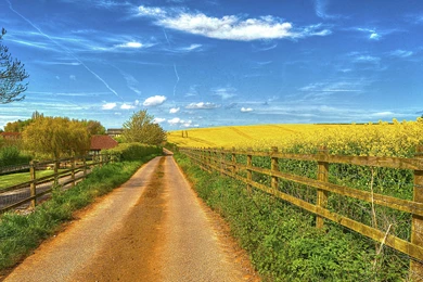 Road Through Field UHD Wallpapers