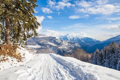 Winter Landscape 2015 Ultra Hd Wallpapers   Ultra High Definition ...